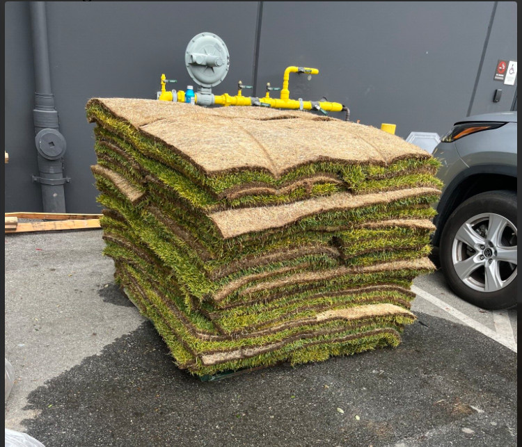 FREE Sod on a palette - a satck of sod!