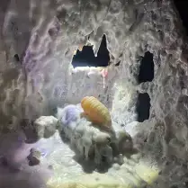 Illuminated ice cave with a mysterious object inside.